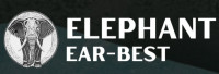 Best Thai Restaurant