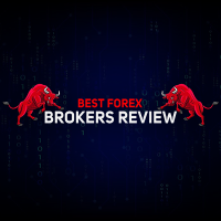 Best Forex Brokers Review