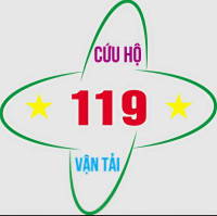 Cứu hộ 119