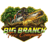 Big Branch Tree Company LLC
