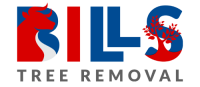 Bills Tree Removal | Tree Service Rochester NY