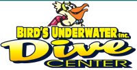 Birds Underwater