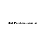 Black Pines Landscaping Inc