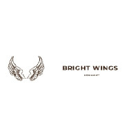 Bright Wings Therapy