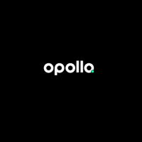 Opollo IT Services