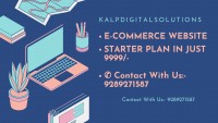 Professional SEO Services in India