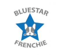 BlueStar Frenchie