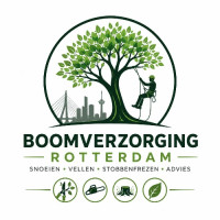 Boomverzorging Rotterdam