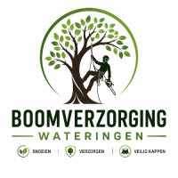 Boomverzorging Wateringen