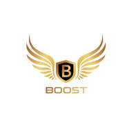 Boost Mobile Detailing