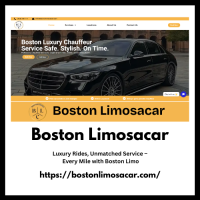 boston airport car service