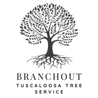 BranchOut Tuscaloosa Tree Service