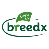 Breedx – Innovation in Pepper & Tomato Breeding