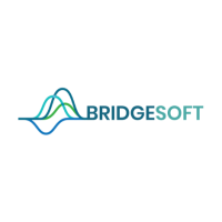 Bridgesoft Infosec LLC