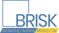 Accounting and Auditing Services in Dubai-About-Brisk