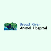 Broad River Animal Hospital