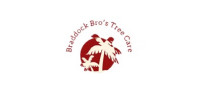 Braddock Bros Tree Care