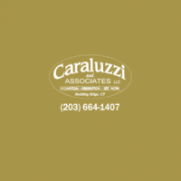 Caraluzzi And Associates, LLC
