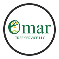 Omar Tree Services LLC