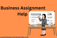 Professional Business Assignment Help for Academic Excellence