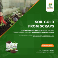 Top Vermicompost Manufacturer in Punjab | Leading Organic Fertilizer Solutions