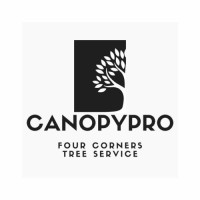 CanopyPro Four Corners Tree Service