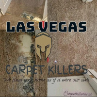 Las Vegas Carpet Killers
