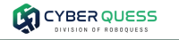 Cyber Quess -cyber security solution provider in India