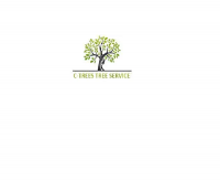 Pearland Tree Service Experts