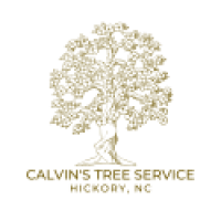 Calvin's Hickory Tree Service