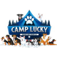 Camp Lucky Board and Train (San Antonio TX)