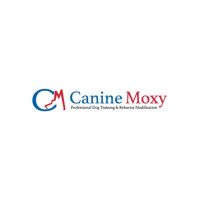 Canine Moxy