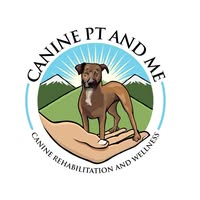 Therapy For Dogs With Hip Dysplasia