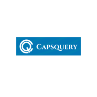 Capsquery Private Limited - Top Custom Web Development Company in the USA