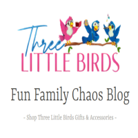 Fun Family Chaos