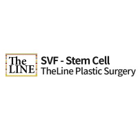 The Line Plastic Surgery Clinic