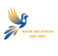 Macaw and Grey Parrot Shop