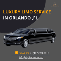 VIP Limo Service LLC