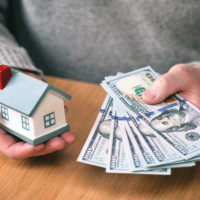 Orange Bear Properties