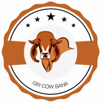 Gir Cow Bank