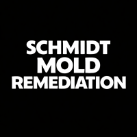 Schmidt Mold Remediation