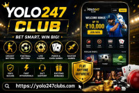 YOLO247 APK Download Latest Version for Android | Safe Guid