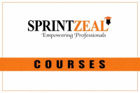 Lean Six Sigma Green Belt Certification Training in Richmond CA
