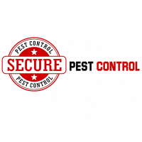 Termite Treatment Noida