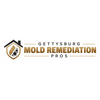 Gettysburg Mold Remediation Pros