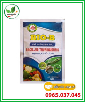 Bio B ThiênThảoHân