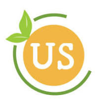 Fresh Harvested Citrus Fruit | Premium Oranges, Lemons & Limes