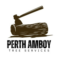 CityPatch Perth Amboy Tree Services