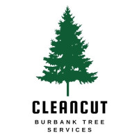 CleanCut Burbank Tree Services