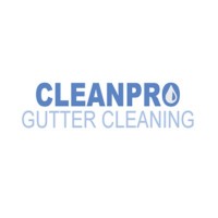 Clean Pro Gutter Cleaning Douglasville